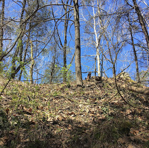 Meet your Posher, Tarina